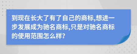 到现在长大了有了自己的商标,想进一步发展成为驰名商标,只是对驰名商标的使用范围怎么样？