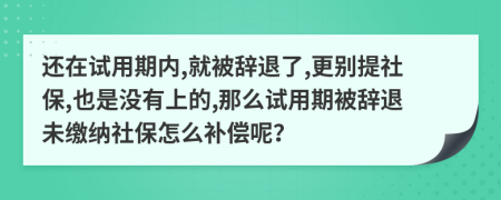 还在试用期内,就被辞退了,更别提社保,也是没有上的,那么试用期被辞退未缴纳社保怎么补偿呢？