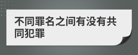 不同罪名之间有没有共同犯罪