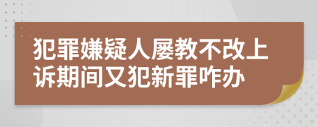 犯罪嫌疑人屡教不改上诉期间又犯新罪咋办