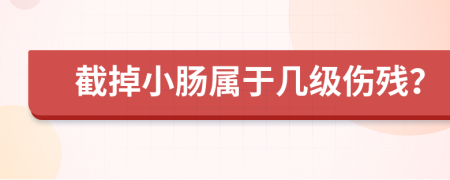 截掉小肠属于几级伤残？