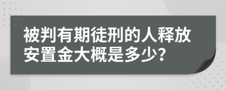 被判有期徒刑的人释放安置金大概是多少？