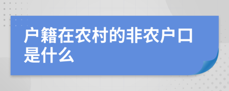 户籍在农村的非农户口是什么