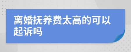 离婚抚养费太高的可以起诉吗