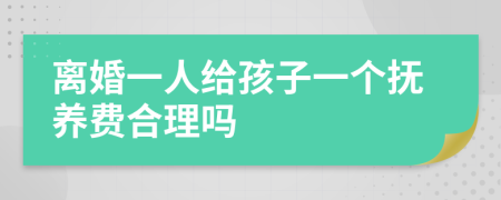 离婚一人给孩子一个抚养费合理吗