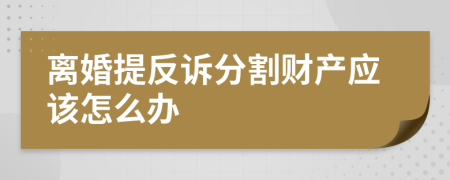 离婚提反诉分割财产应该怎么办