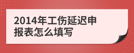 2014年工伤延迟申报表怎么填写