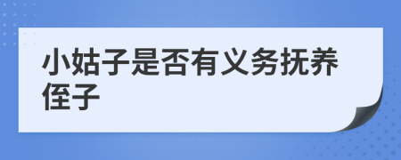 小姑子是否有义务抚养侄子
