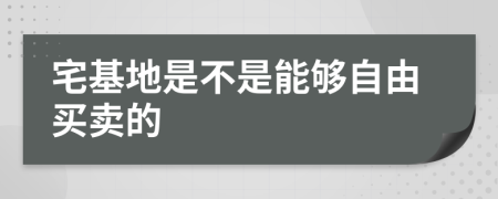 宅基地是不是能够自由买卖的