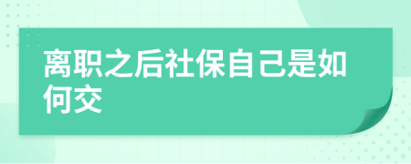 离职之后社保自己是如何交