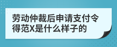 劳动仲裁后申请支付令得范X是什么样子的