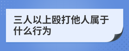 三人以上殴打他人属于什么行为