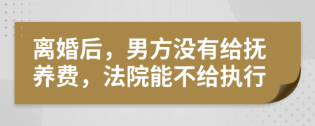 离婚后，男方没有给抚养费，法院能不给执行