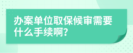 办案单位取保候审需要什么手续啊？