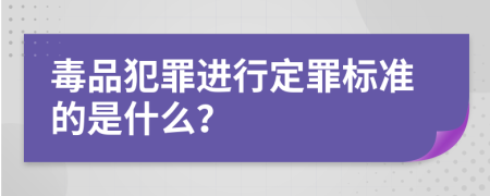 毒品犯罪进行定罪标准的是什么？