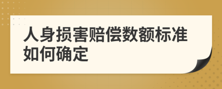 人身损害赔偿数额标准如何确定