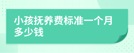 小孩抚养费标准一个月多少钱