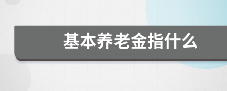 基本养老金指什么