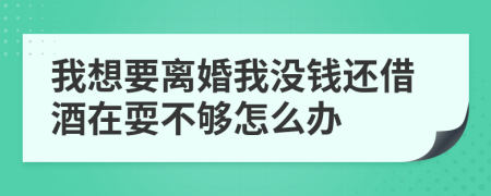 我想要离婚我没钱还借酒在耍不够怎么办