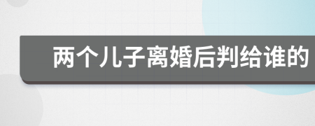 两个儿子离婚后判给谁的