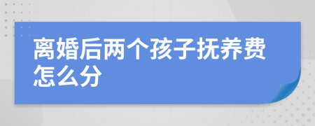 离婚后两个孩子抚养费怎么分