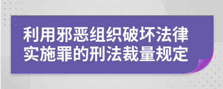 利用邪恶组织破坏法律实施罪的刑法裁量规定