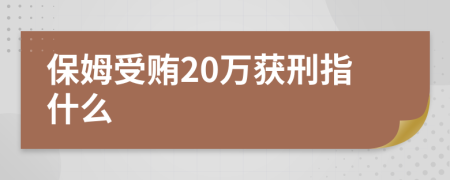 保姆受贿20万获刑指什么