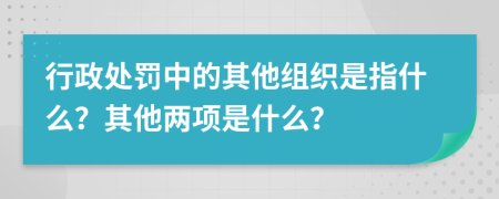 行政处罚中的其他组织是指什么？其他两项是什么？