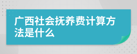 广西社会抚养费计算方法是什么