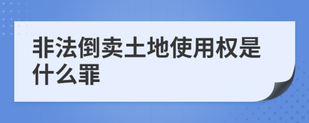 非法倒卖土地使用权是什么罪