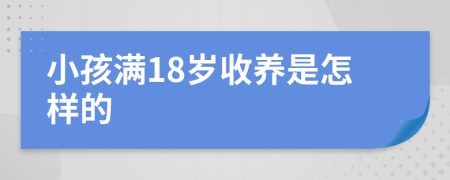 小孩满18岁收养是怎样的