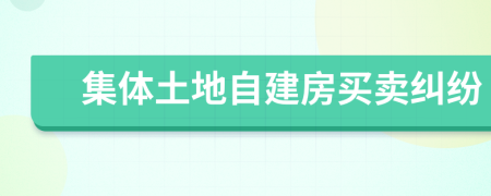 集体土地自建房买卖纠纷