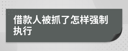 借款人被抓了怎样强制执行