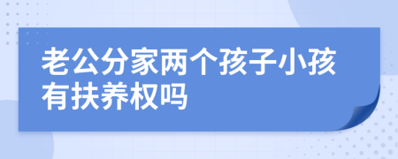 老公分家两个孩子小孩有扶养权吗