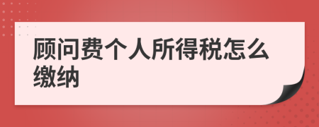 顾问费个人所得税怎么缴纳