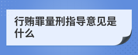 行贿罪量刑指导意见是什么