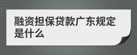 融资担保贷款广东规定是什么