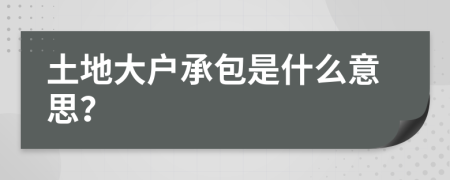 土地大户承包是什么意思？