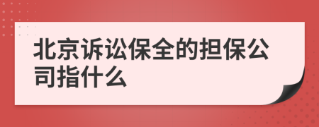 北京诉讼保全的担保公司指什么