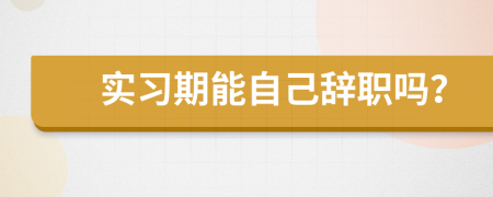 实习期能自己辞职吗？