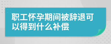 职工怀孕期间被辞退可以得到什么补偿