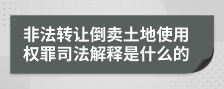 非法转让倒卖土地使用权罪司法解释是什么的