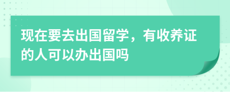 现在要去出国留学，有收养证的人可以办出国吗