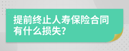 提前终止人寿保险合同有什么损失？