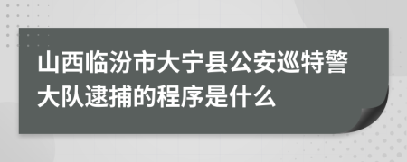 山西临汾市大宁县公安巡特警大队逮捕的程序是什么