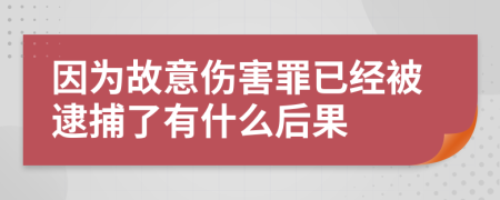 因为故意伤害罪已经被逮捕了有什么后果