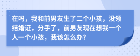 在吗，我和前男友生了二个小孩，没领结婚证，分手了，前男友现在想我一个人一个小孩，我该怎么办?