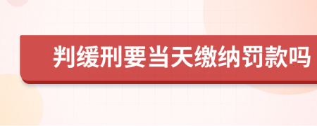 判缓刑要当天缴纳罚款吗