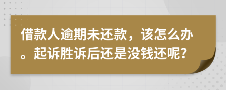 借款人逾期未还款，该怎么办。起诉胜诉后还是没钱还呢？