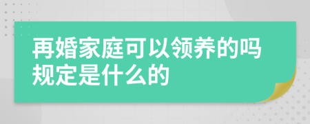 再婚家庭可以领养的吗规定是什么的